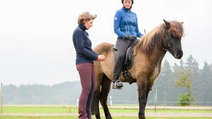 CAVALLO besser sitzen auf Isis besser sitzen auf Isis