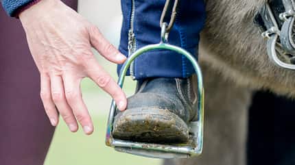 CAVALLO besser sitzen auf Isis besser sitzen auf Isis