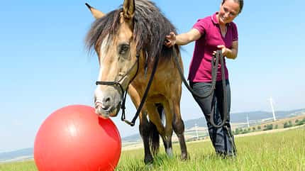 CAVALLO Spaß mit Pferden Spaß mit Pferden