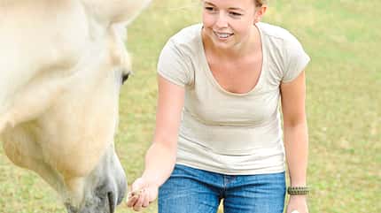 CAVALLO Spaß mit Pferden Spaß mit Pferden