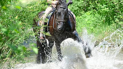 CAVALLO Spaß mit Pferden Spaß mit Pferden