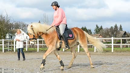 CAVALLO Coach CAVALLO Coach