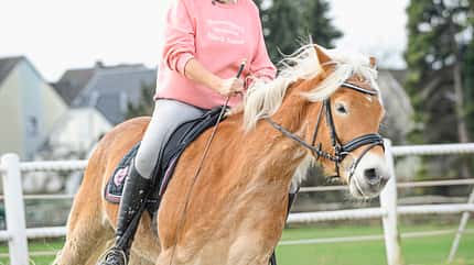 CAVALLO Coach CAVALLO Coach