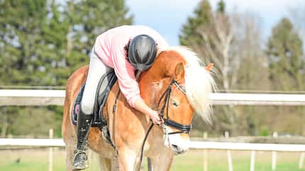 CAVALLO Coach CAVALLO Coach
