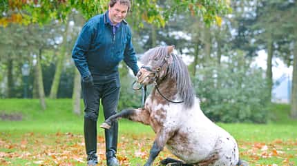 CAVALLO Interview Hinrichs Interview Hinrichs
