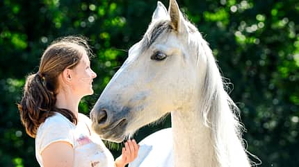 CAVALLO Kurze Trainings Kurze Trainings