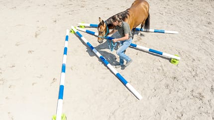CAVALLO Kurze Trainings Kurze Trainings