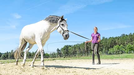CAVALLO Kurze Trainings Kurze Trainings