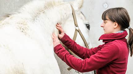 CAVALLO Kurze Trainings Kurze Trainings