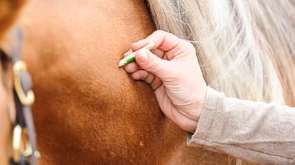 CAVALLO Medical Training Medical Training