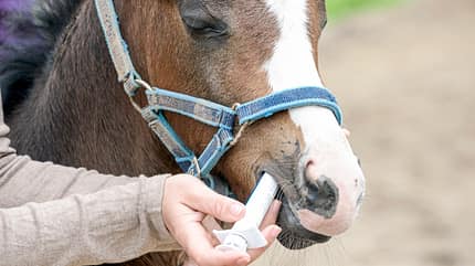 CAVALLO Medical Training Medical Training