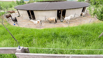 CAVALLO Rundställe Rundställe