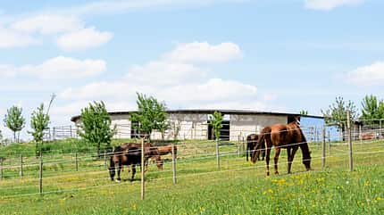CAVALLO Rundställe Rundställe