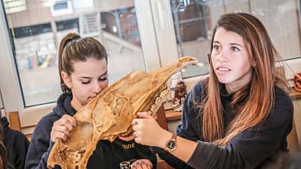 CAVALLO Erste Hilfe für Pferde Erste Hilfe für Pferde