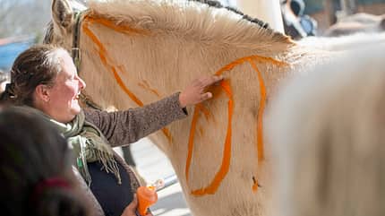 CAVALLO Erste Hilfe für Pferde Erste Hilfe für Pferde