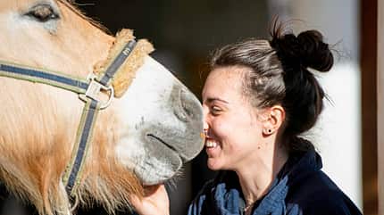 CAVALLO Erste Hilfe für Pferde Erste Hilfe für Pferde