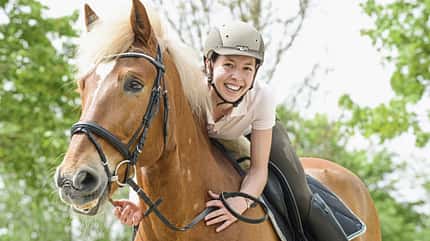 CAVALLO Schulpferde gesucht Schulpferde gesucht