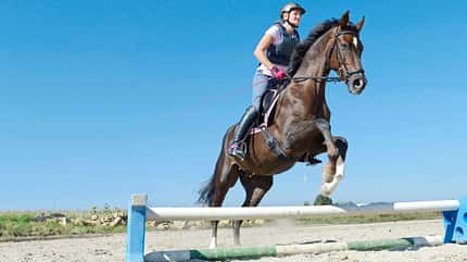 CAVALLO Superpferde Superpferde