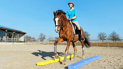 CAVALLO Superpferde Superpferde