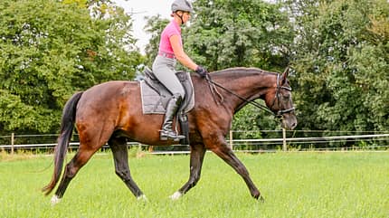 CAVALLO Was der Atem über Ihr Pferd verrät Was der Atem über Ihr Pferd verrät