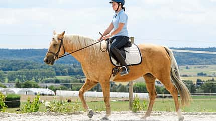 CAVALLO Themenschwerpunkt Balance Themenschwerpunkt Balance