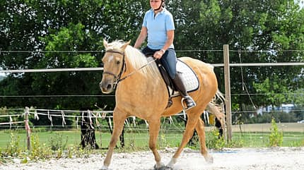 CAVALLO Themenschwerpunkt Balance Themenschwerpunkt Balance