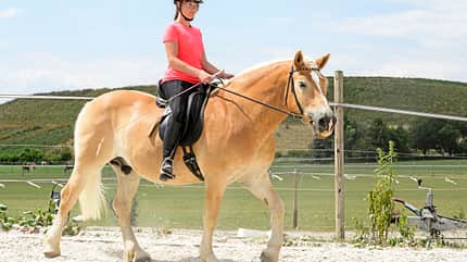 CAVALLO Themenschwerpunkt Balance Themenschwerpunkt Balance