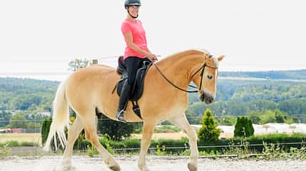 CAVALLO Themenschwerpunkt Balance Themenschwerpunkt Balance