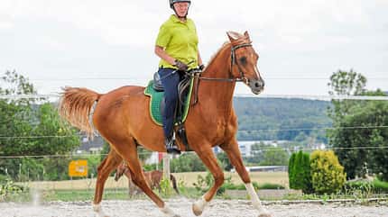 CAVALLO Themenschwerpunkt Balance Themenschwerpunkt Balance