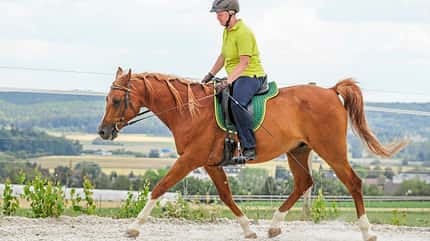 CAVALLO Themenschwerpunkt Balance Themenschwerpunkt Balance