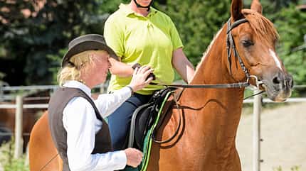 CAVALLO Themenschwerpunkt Balance Themenschwerpunkt Balance