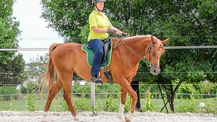 CAVALLO Themenschwerpunkt Balance Themenschwerpunkt Balance