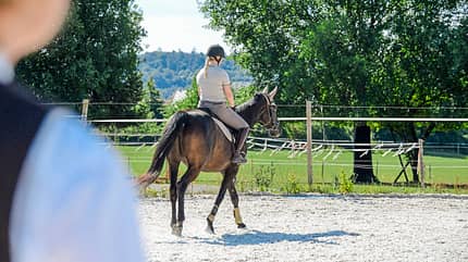 CAVALLO Themenschwerpunkt Balance Themenschwerpunkt Balance