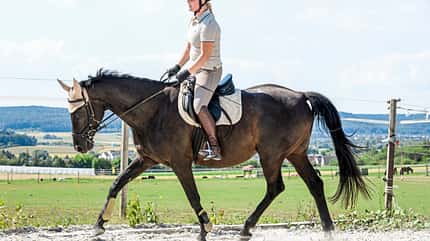 CAVALLO Themenschwerpunkt Balance Themenschwerpunkt Balance