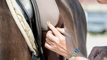 CAVALLO Themenschwerpunkt Balance Themenschwerpunkt Balance