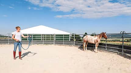 CAVALLO Roundpen Roundpen