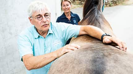 CAVALLO Aus Hufen lesen Aus Hufen lesen