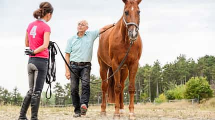 CAVALLO Aus Hufen lesen Aus Hufen lesen