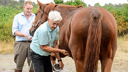 CAVALLO Aus Hufen lesen Aus Hufen lesen