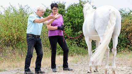 CAVALLO Aus Hufen lesen Aus Hufen lesen