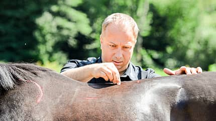 CAVALLO Die Sattel-Diskussion Die Sattel-Diskussion