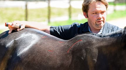 CAVALLO Die Sattel-Diskussion Die Sattel-Diskussion
