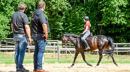 CAVALLO Die Sattel-Diskussion Die Sattel-Diskussion