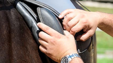 CAVALLO Die Sattel-Diskussion Die Sattel-Diskussion