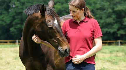 CAVALLO Seelenpferde Seelenpferde