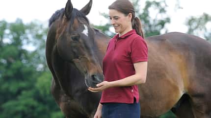 CAVALLO Seelenpferde Seelenpferde