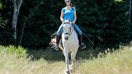 CAVALLO Natürliche Schiefe Natürliche Schiefe