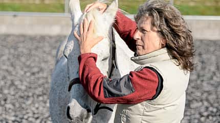 CAVALLO Craniosacrale Therapie CAVALLO Craniosacrale Therapie