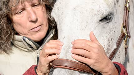 CAVALLO Craniosacrale Therapie CAVALLO Craniosacrale Therapie