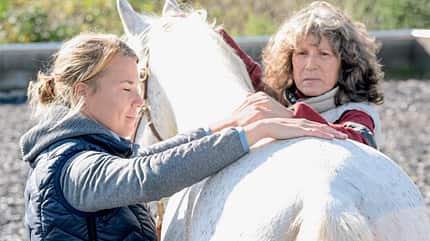 CAVALLO Craniosacrale Therapie CAVALLO Craniosacrale Therapie